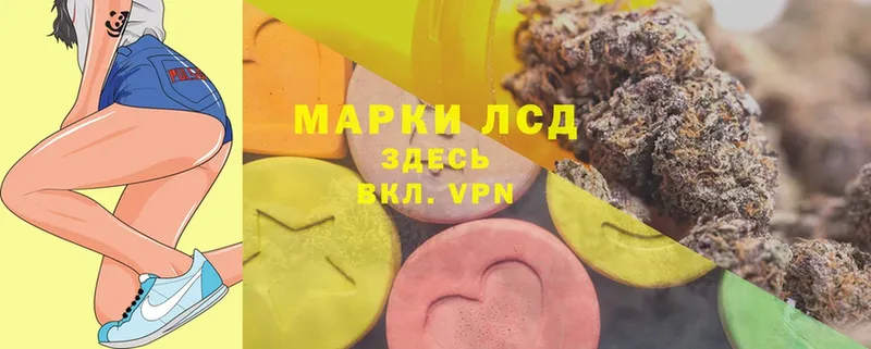 цена   Покачи  Лсд 25 экстази кислота 